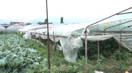 İldırım heyvanları vurdu, sel ev quşlarını apardı - FOTO/VİDEO