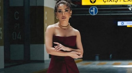 Mehinin ölkədən çıxışı qadağan edilib- Özü açıqladı - Video