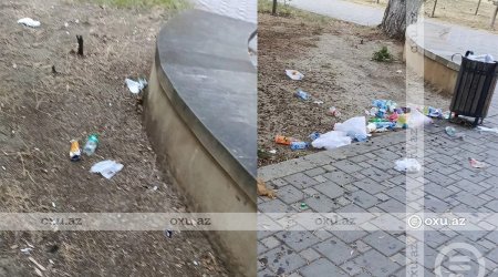 Bakının məşhur parkı baxımsız qalıb - FOTO