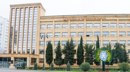 Baş nazir ETSN-nin tabeliyindəki bəzi qurumların ştat vahidlərini TƏSDİQLƏDİ