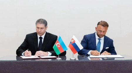 Azərbaycan və Slovakiya kibercinayətkarlığa qarşı güclərini birləşdirir - FOTO