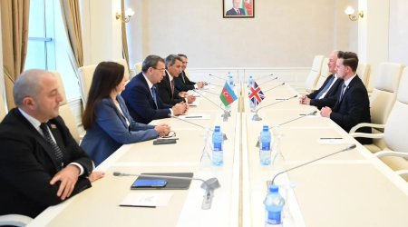 Azərbaycan və Britaniya parlamentariləri Bakıda görüşdülər - FOTO