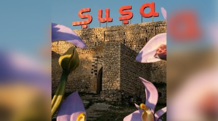 Prezidentin köməkçisi IV Şuşa Qlobal Media Forumu ilə bağlı paylaşım etdi &ndash; VİDEO