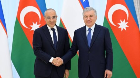 Mikayıl Cabbarov Şavkat Mirziyoyevin qəbulunda - FOTO