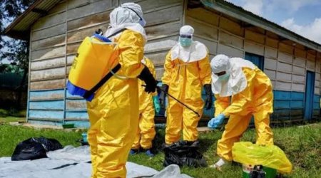Konqoda Ebola epidemiyası: Ölənlərin sayı 874-ə çatdı
