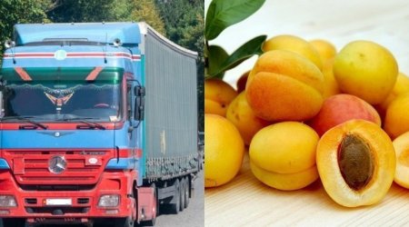 Ermənistandan İspaniyaya göndərilən əriklər yolda xarab oldu