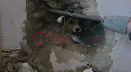 Sakinlər onun xilası üçün nazirliyə zəng etdilər&ndash; Video