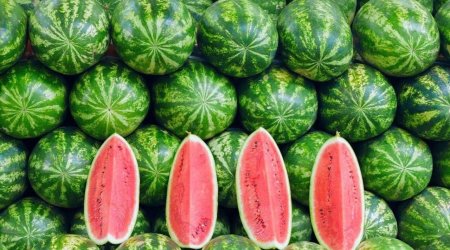 Şirin və yetişmiş qarpız seçməyin 10 QAYDASI