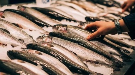 Bakıda yeni təhlükə: bu məhsulları almayın - Rəsmi