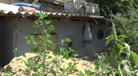 Binəqədidə torpaq sürüşməsindən sonra evlər qəzalı vəziyyətdə - VİDEO