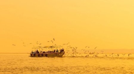 Dünyanın ən isti şəhəri: Quşlar göydən yerə düşür