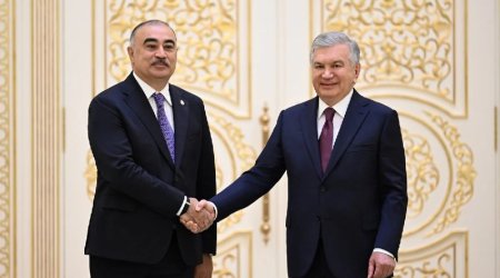 Rəşad Məmmədov etimadnaməsini Şavkat Mirziyoyevə təqdim etdi &ndash; FOTO