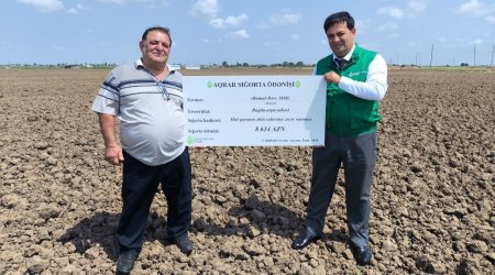Azərbaycanda İLK DƏFƏ - Fermer 8614 manat sığorta aldı - FOTO