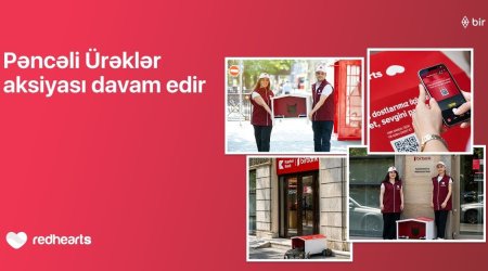 “Pəncəli Ürəklər” aksiyası çərçivəsində sahibsiz heyvanlar üçün yuvaların sayı 35-ə çatdı