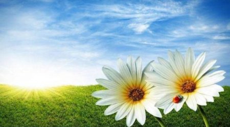 Sabah 39 dərəcə isti olacaq &ndash; PROQNOZ