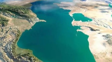 Xəzər dənizindəunikal TAPINTI: suyu təbii təmizləyir - FOTO
