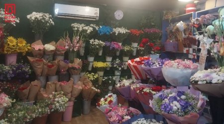 Güllər niyə əvvəlki kimi ətirli deyil? – Səbəbi BƏLLİ OLDU