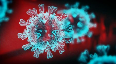 Azərbaycanda son 1 həftə ərzində koronavirusa yoluxanların sayı açıqlandı