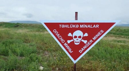Ötən ay nə qədər ərazi mina və partlayıcılardan təmizlənib?