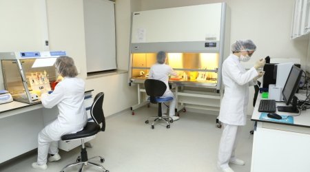 İsmayıllıdakı toyda 40 nəfərin zəhərlənməsinə düyü səbəb olubmuş... &ndash; RƏSMİ