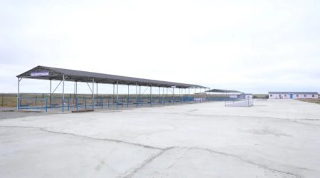 Daha iki heyvan bazarı yenidən qurularaq istifadəyə verildi - FOTO