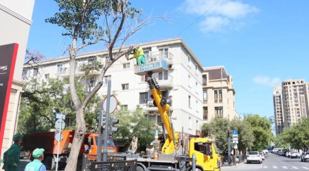 Bakıda güclü küləklə bağlı qabaqlayıcı tədbirlər görülür &ndash; FOTO