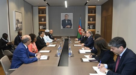Ceyhun Bayramov Pan-Afrika Parlamentinin prezidenti ilə görüşdü - FOTO