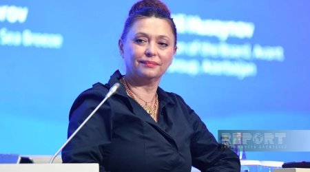 Simonida Kordiç: "Azərbaycan Monteneqronun ən mühüm investorlardan biridir"