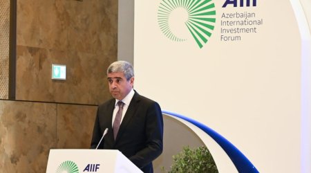 Anar Əliyev: &ldquo;Azərbaycanda elektron sosial sistemlər 80-dək qurumun informasiya bazaları ilə inteqrasiya olunur&rdquo;