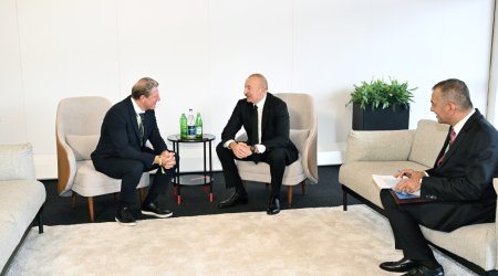Prezident Aleksandr Oşpelt ilə görüşdü - FOTO