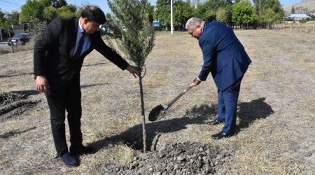 Ağsuda Anım Günündə ağacəkmə aksiyası keçirildi - FOTO