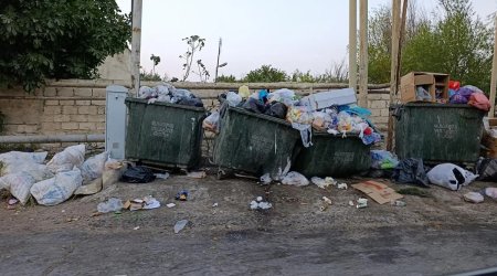 Sabunçu rayonunda antisanitar vəziyyət - FOTO