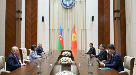 Sahibə Qafarova Qırğızıstan Prezidentinin QƏBULUNDA - FOTO