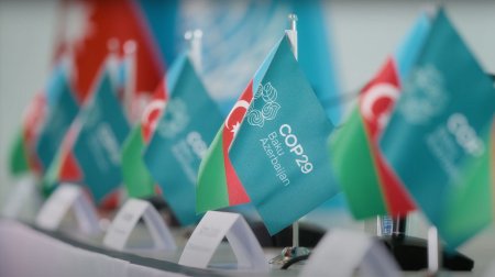 COP29-da Paris Sazişinin iki maddəsi QƏBUL EDİLDİ - VİDEO