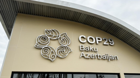 COP29-a gələn turistlərin Bakı bulvarı ilə bağlı TƏƏSSÜRATLARI - VİDEO