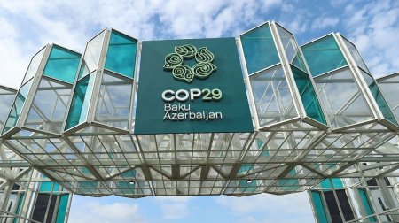 COP29-un tarixi uğuru: Karbon bazarına "yaşıl işıq"