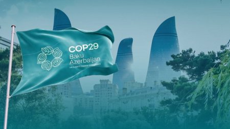 COP29-da qeydiyyatdan keçən iştirakçıların sayı AÇIQLANDI