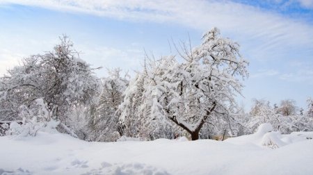 FAKTİKİ HAVA: Naxçıvanda 16 dərəcəyədək şaxta olub