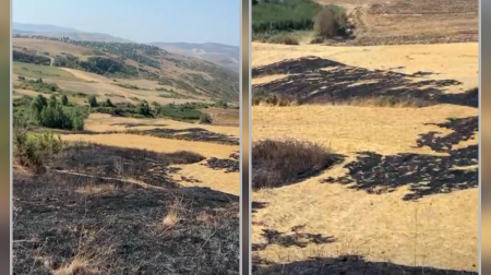 Şamaxıda yanğın törədən şəxs məsuliyyətə cəlb olundu