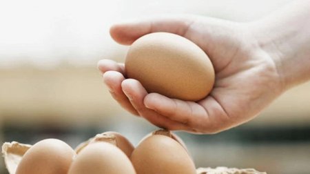 Yumurtanın təzə olduğunu bu cür bilmək olar