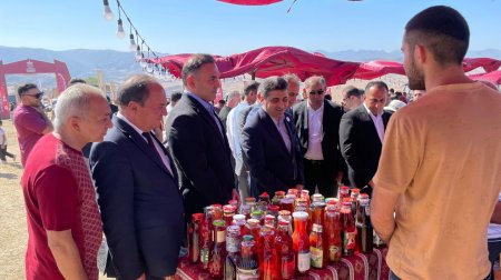 Göygöldə “Moruq festivalı” start götürdü - FOTO/VİDEO