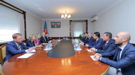 Aİ-nin Cənubi Qafqaz üzrə xüsusi nümayəndəsi Naxçıvana gedib - FOTO