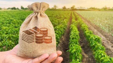 Bu şəxslər 50% artıq subsidiya ALACAQ