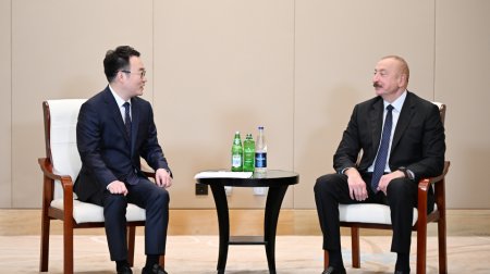 İlham Əliyev “Powerchina group” şirkətinin vitse-prezidenti ilə görüşdü – FOTO