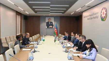 Azərbaycan və Cibuti XİN-ləri arasında siyasi məsləhətləşmələr KEÇİRİLDİ - FOTO