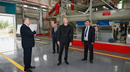 İlham Əliyev Sabirabadda pambıq emalı zavodunda – FOTO