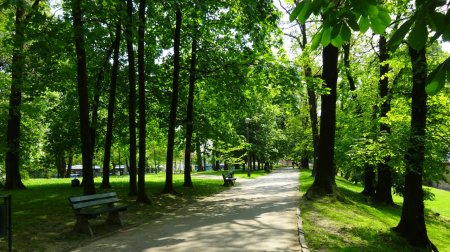 Bakıda oğlan parkda tanış olmaq istədiyi qızı qarət etdi
