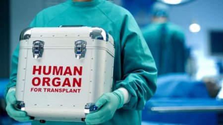 Azərbaycanda İLK: Meyit donorun ürəyi transplantasiya EDİLDİ