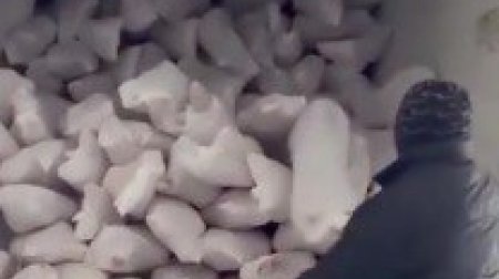 "12 manata monqol əti" Azərbaycan bazarını bürüyüb - VİDEO