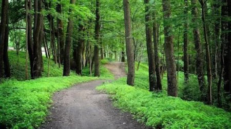 17 ildir itkin düşən şəxs dağda tapıldı